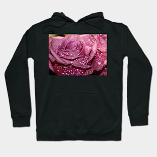 A pink Rose Hoodie